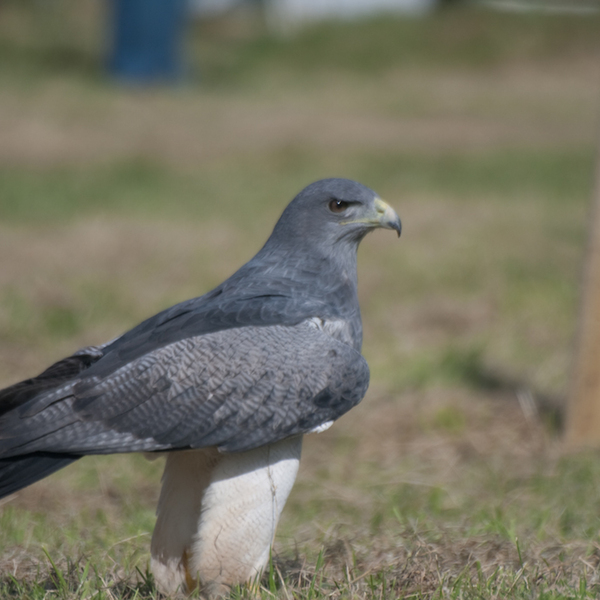 photographybyduncanholmes_3758771944_burghead2009 (46 of 73).jpg